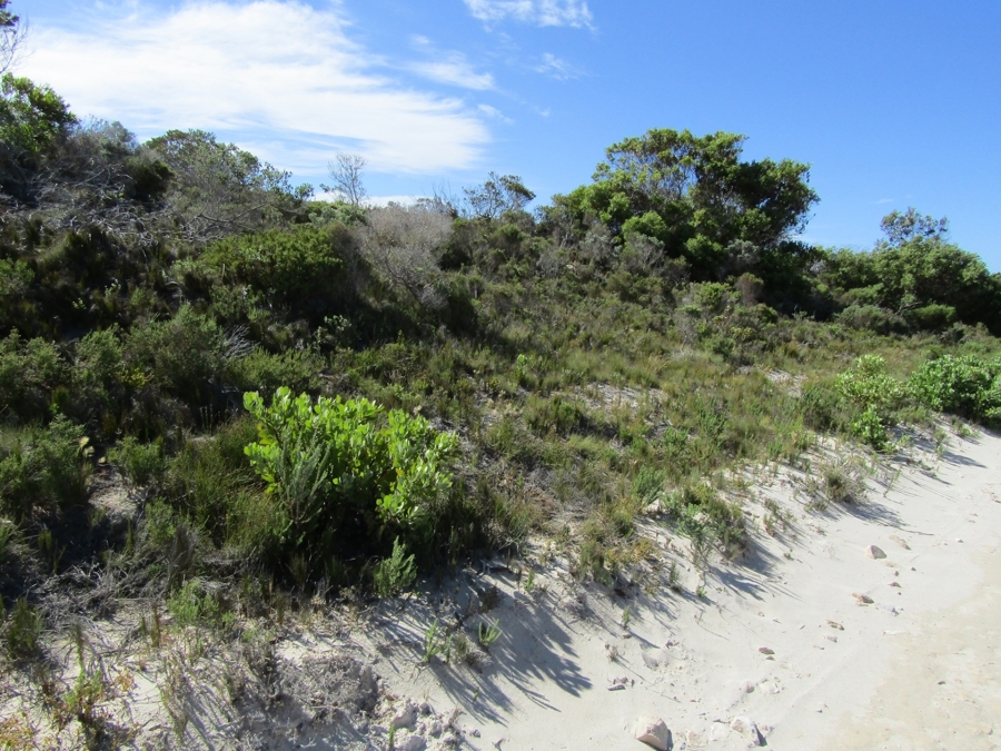 0 Bedroom Property for Sale in Suiderstrand Western Cape